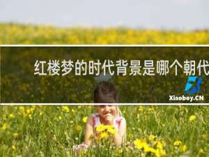 红楼梦的时代背景是哪个朝代