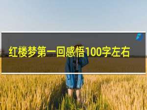 红楼梦第一回感悟100字左右