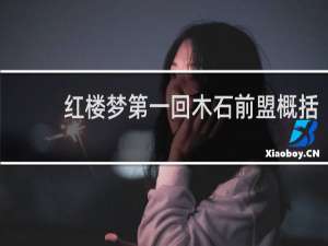 红楼梦第一回木石前盟概括