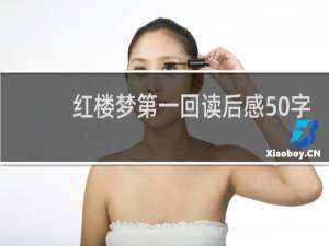 红楼梦第一回读后感50字