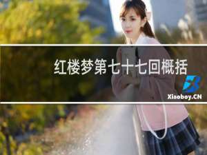 红楼梦第七十七回概括
