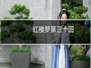 红楼梦第三十回