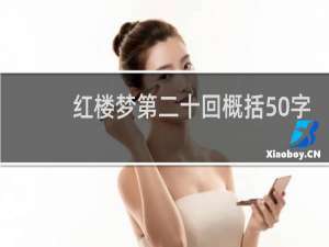 红楼梦第二十回概括50字