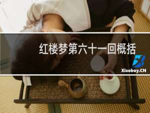 红楼梦第六十一回概括