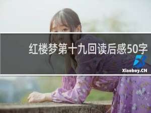 红楼梦第十九回读后感50字