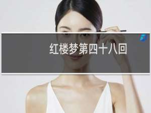 红楼梦第四十八回