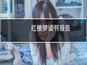 红楼梦读书报告
