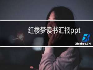 红楼梦读书汇报ppt
