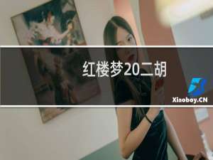 红楼梦 二胡