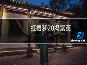 红楼梦 冯紫英