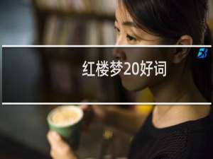红楼梦 好词