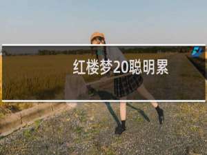 红楼梦 聪明累