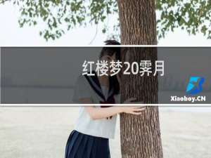 红楼梦 霁月