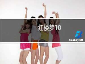 红楼梦10