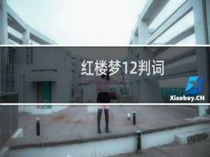 红楼梦12判词