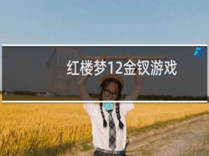 红楼梦12金钗游戏