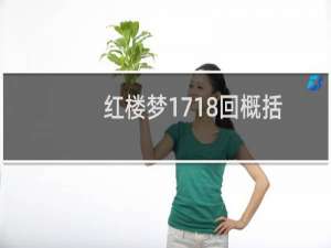 红楼梦1718回概括