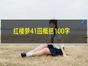 红楼梦41回概括100字