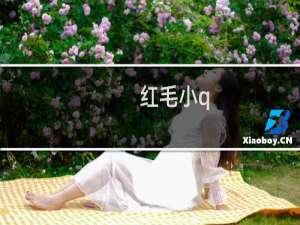 红毛小q
