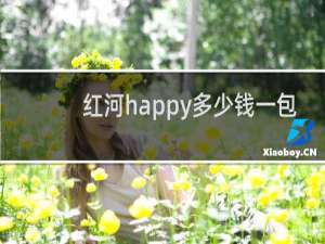 红河happy多少钱一包