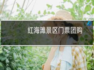 红海滩景区门票团购