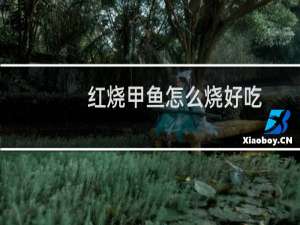 红烧甲鱼怎么烧好吃（红烧甲鱼的做法）