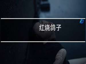 红烧鸽子