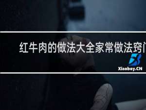 红牛肉的做法大全家常做法窍门