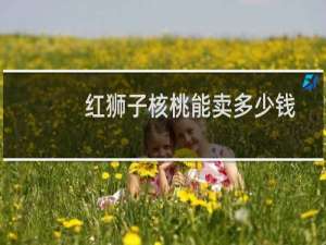 红狮子核桃能卖多少钱