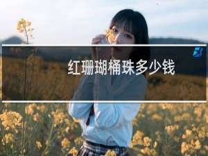 红珊瑚桶珠多少钱