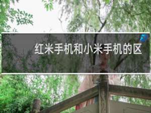 红米手机和小米手机的区别
