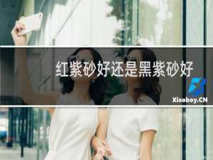 红紫砂好还是黑紫砂好