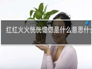 红红火火恍恍惚惚是什么意思什么梗