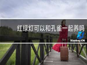 红绿灯可以和孔雀一起养吗