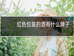 红色包装的酒有什么牌子