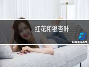 红花和银杏叶