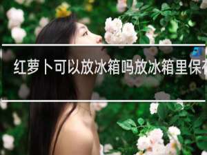 红萝卜可以放冰箱吗放冰箱里保存吗