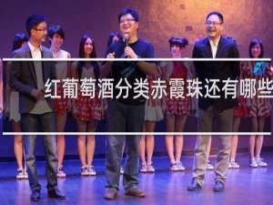 红葡萄酒分类赤霞珠还有哪些