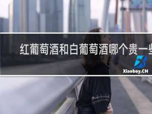 红葡萄酒和白葡萄酒哪个贵一些