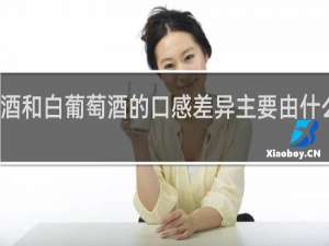 红葡萄酒和白葡萄酒的口感差异主要由什么物质引起的