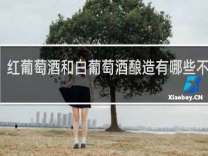 红葡萄酒和白葡萄酒酿造有哪些不同点