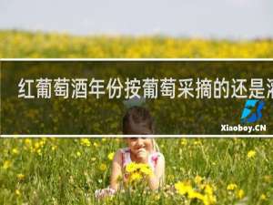 红葡萄酒年份按葡萄采摘的还是灌装