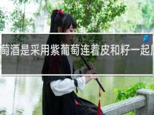 红葡萄酒是采用紫葡萄连着皮和籽一起压榨发酵的