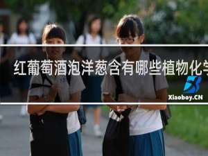 红葡萄酒泡洋葱含有哪些植物化学物