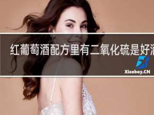 红葡萄酒配方里有二氧化硫是好酒吗