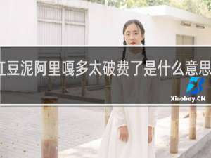 红豆泥阿里嘎多太破费了是什么意思什么梗