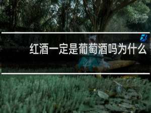 红酒一定是葡萄酒吗为什么