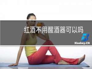 红酒不用醒酒器可以吗