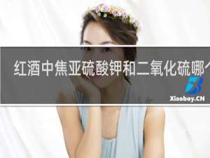 红酒中焦亚硫酸钾和二氧化硫哪个好