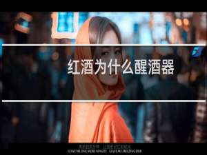 红酒为什么醒酒器